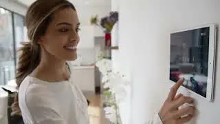 The ACN Opportunity