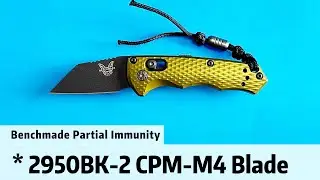 Benchmade Partial Immunity Review | 2950BK-2 EDC Knife Auto AXIS® Lock#edcknife #edc