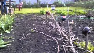 VIDEO0043