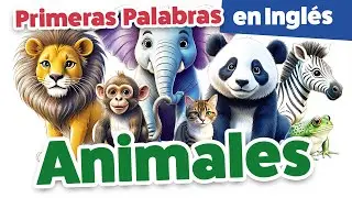 Primeras Palabras en Ingl&eacute;s - Animales para Beb&eacute;s- Im&aacute;genes Suaves y Movimiento Lento