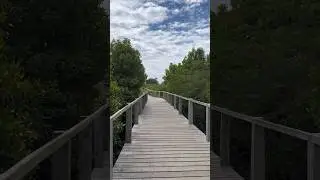 Bauang Bakawan Eco-tourism Park | Bauang La Union 🇵🇭
