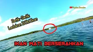 DETIK-DETIK LEDAKAN BOM IKAN Terrekam JELASSS Saat Spearfishing || Ikan Mati Semua...