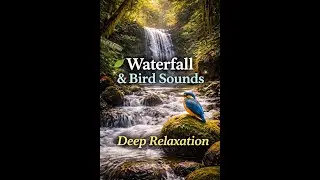 Relaxing Waterfall & Bird Sounds | Peaceful Forest Ambience for Sleep, Study & Meditation #episode5