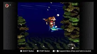 Donkey Kong Country: 3-6 Clam City