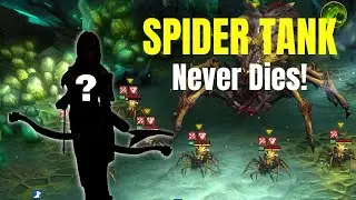 This Budget Champion Will ANCHOR Your Spider Team!