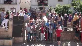 Encierro Checa 2014