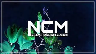 Link - [NCM Release]