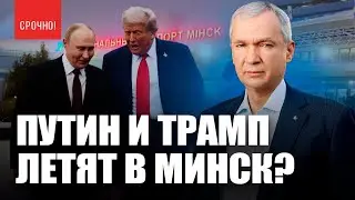 ⚡️Трамп, Путин и Зеленский встретятся в Минске? Друг Лукашенко арестован