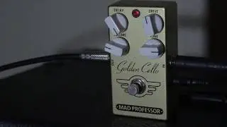 Mad Professor Amps 