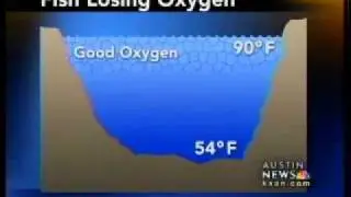 Fish suffocating in Lake Travis