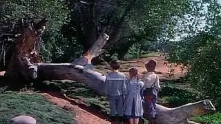 Disney's Song of The South (1946) Ending