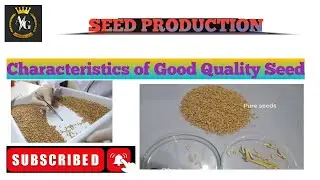 Characteristics of Good Quality Seed | Seed Production | Purity Of seed ||▪︎■●&yen;$&euro;