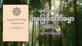 အခြေခံအဘိဓမ္မာတရား အပိုင်း (၂)၊ စိတ်စေတသိက်အကြောင်းသိကောင်းစရာများ၊ သဒ္ဓမ္မဇောတိကအဘိဓမ္မာ။