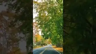 Long Island NY Fall 2022
