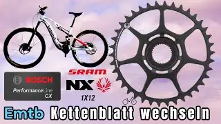 Emtb Kettenblatt wechseln - Bosch Performance CX Line Gen. 4 (SRAM EAGLE NX)