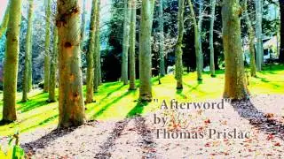 Afterword - by Thomas Prislac