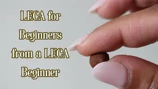 LECA for beginners from a LECA beginner | My LECA failure, experience, & everything I've learned