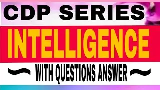 INTELLIGENCE | UNIFACTOR THEORY