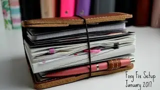 Foxy Fix Pocket Wide TN Setup January 2017 Hobonichi // Pink Planner Girl