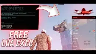 Best Lua EXEC FiveM -BEST PRICES, UNDETECTED, DUMPER,