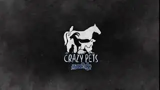 Crazy Pets Tamil Intro | Channel Promo | Crazy Pets Tamil