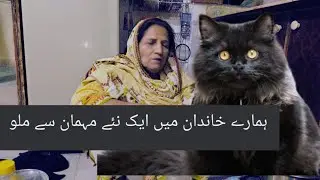 milye hamary new family member say|| #desimaa #desilifestylevlog