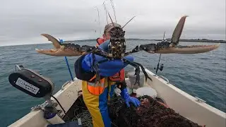 Hauling The Inglorious Fishing Lobster and Crab Pots - Bream Fishing With Feathers!