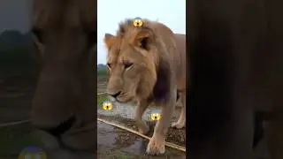 #magic