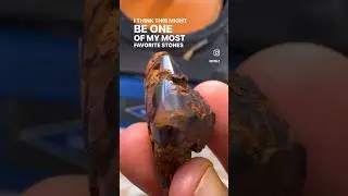 Polishing a #Coprolite #lapidary #lapidaryartist #polishingrocks #polishing #fossils