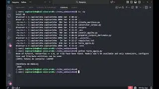 Sabiazinho-4 - Maritaca AI - Teste Needle‑in‑a‑Haystack (Agulha no Palheiro)