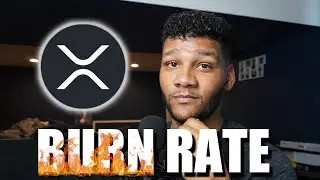 THE #XRP BURN RATE WILL BLOW YOUR MIND!!! XRP To $100!!!