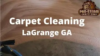 Carpet Cleaning a home in LaGrange GA