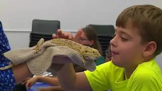 Discovery Center