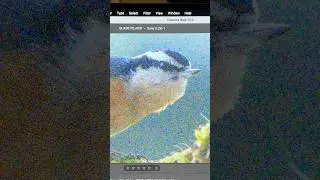 Best Noise Removal Ever? Photoshop&rsquo;s New AI! #Shorts
