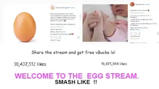 THE EGG STREAM - EGG vs KYLIE JENNER | LIVE COUNT