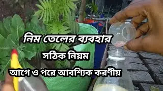 নিম তেল গাছের পক্ষে কতটা উপকারী । সমস্ত কিছু তথ্য একটি ভিডিওতে #gachpagolpran  #gardening 