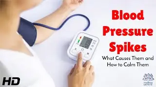 Blood Pressure Spikes: What Causes Them and How to Calm Them Naturally