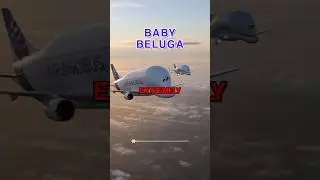Малыш Антонов мстит малышу Белуге 😳