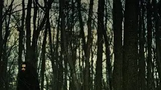 Tom Waits - All The World is Green (cover by Fedja Poldruhi)