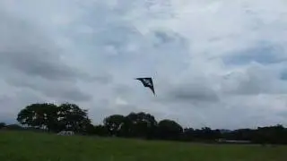 Black Dog - Skydog Kites.MPG