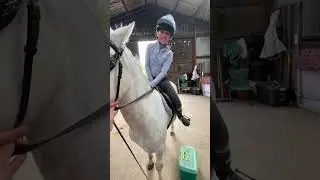 When you buy your child a horse 😂🤣 #horses #ponies #equestrian #equestrianmum