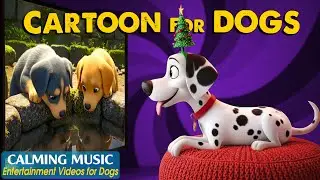 Dog Cartoon with Music: Best Entertaining Videos to Prevent Boredom for Dogs Home Alone &ndash; Dog TV
