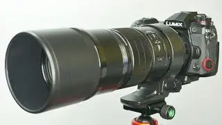 Panasonic Lumix G9 (#14) + Olympus M.ZUIKO DIGITAL ED 300mm F4.0 IS PRO (Teil 1)