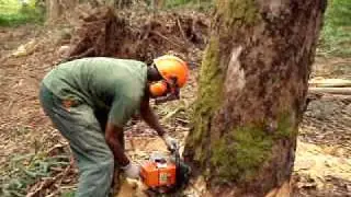 cortando madeira