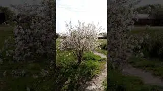 31 мая 2025 г.