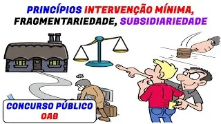 Aula 4: Princípios da Intervenção Mínima, da Fragmentariedade e da Subsidiariedade