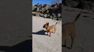 Бесплатные кемпинги