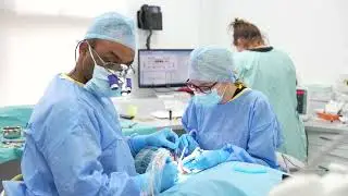Sedation for nervous patients