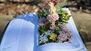 Making a Fairy Garden in a Book with my 11 year old in zone 9