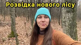 РОЗВІДКА НОВОГО ЛІСУ. Коп 2025р